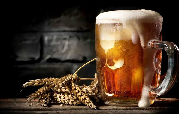 Picture foam, glass, beer, spikelets