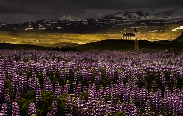 Picture light, flowers, mountains, nature, morning, temple