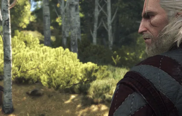 Picture Look, The Witcher, Geralt, Witcher 3, Screenshot