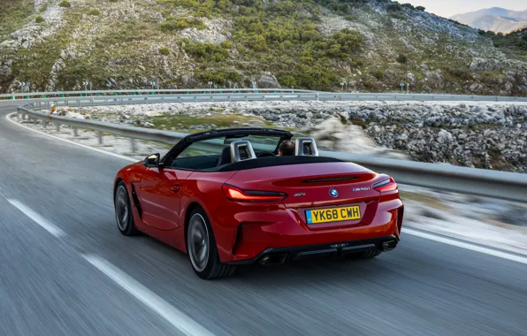 Picture red, BMW, Roadster, rear view, BMW Z4, M40i, Z4, 2019