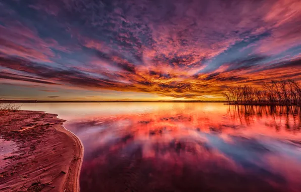Picture the sky, clouds, trees, lake, dawn, shore, Colorado, Chatfield State Park