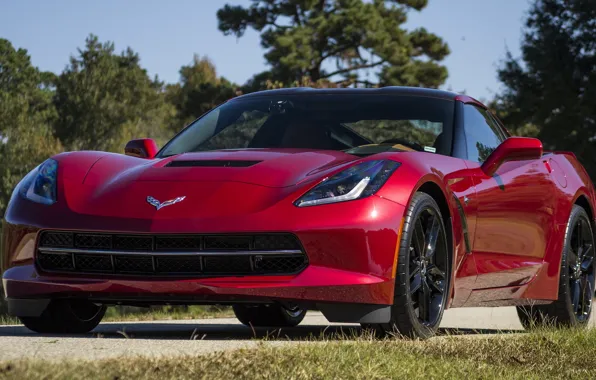 Picture Corvette, red, Stingray