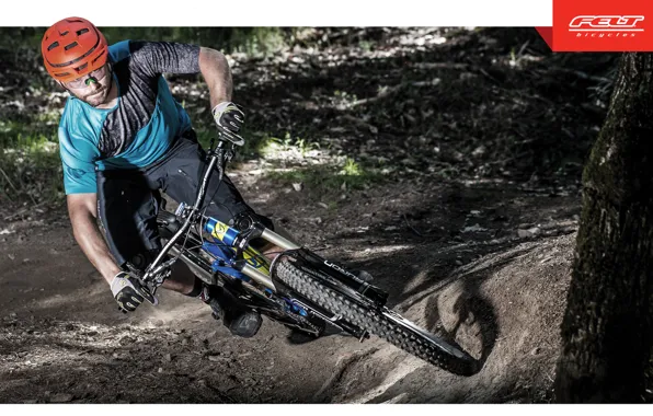 Bike, bicycle, felt, felt, mountain bike