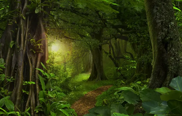 Greens, leaves, the sun, trees, jungle, Jungle, path, forest.tropics