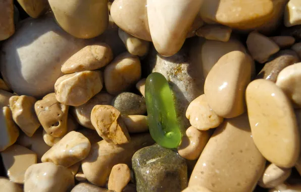 Beach, green, stone, water