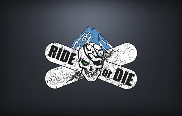 Snowboard, skull, flag, pirates, ride