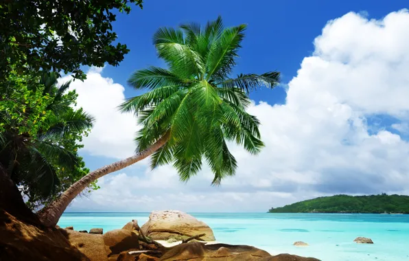 Sea, landscape, nature, tropics, Palma, stones, stay, sea