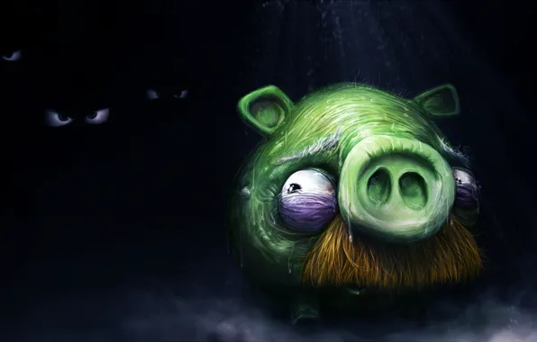 Picture fear, darkness, pig, angry birds, angry birds