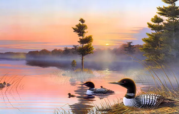 Autumn, the sky, the sun, light, sunset, birds, nature, fog