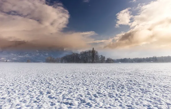 Winter, field, the sky, snow