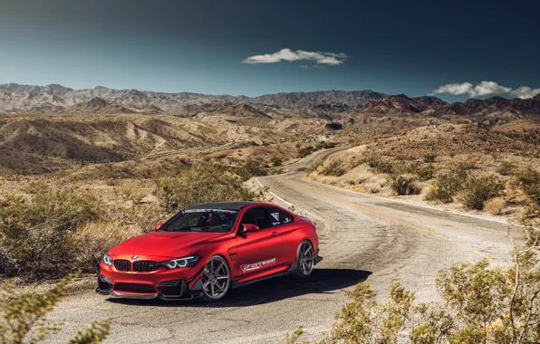 Picture road, auto, landscape, red, nature, design, BMW M4