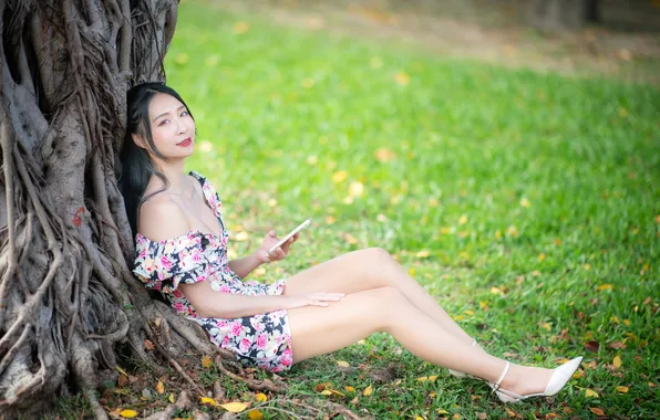 Girl, tree, Asian