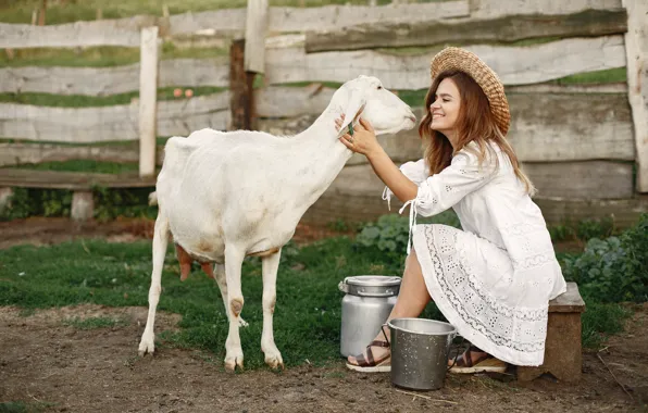 Girl, milk, goat, milkmaid