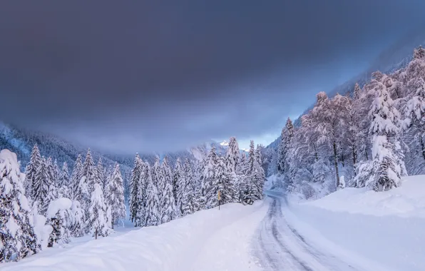Winter, road, forest, snow, trees, mountains, ate, Italy