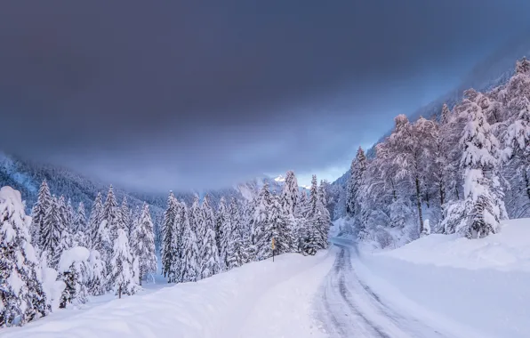 Picture winter, road, forest, snow, trees, mountains, ate, Italy