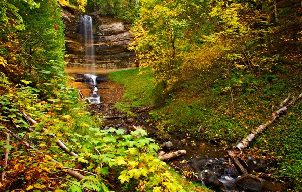 Picture autumn, forest, leaves, trees, rock, waterfall, stream