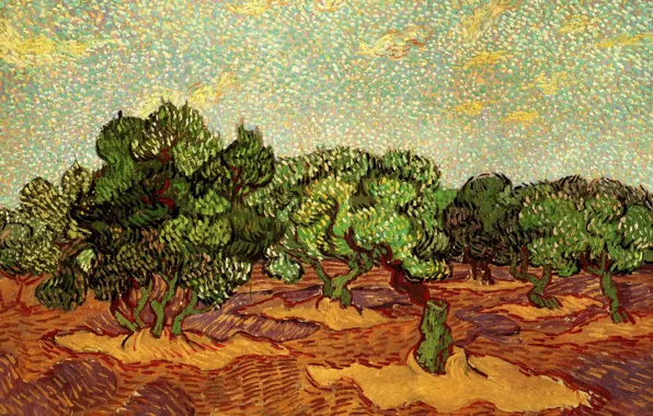Trees, Vincent van Gogh, Olive Grove, Pale Blue Sky