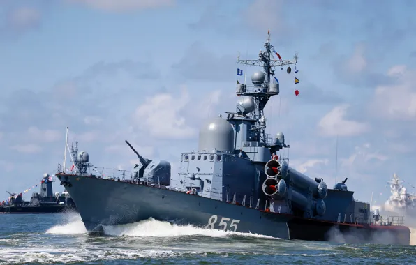 Guards, Missile boat, Zarechnyy