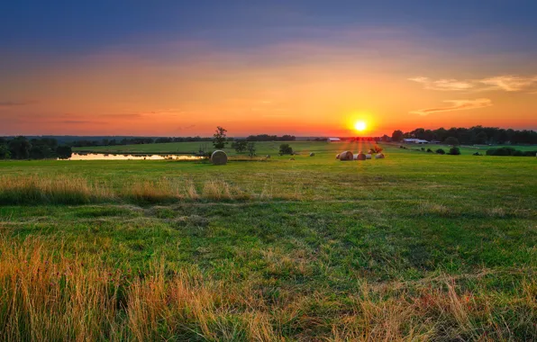 Picture the sky, grass, the sun, rays, trees, dawn, field, hay