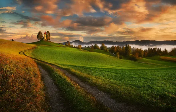 Road, field, forest, Church