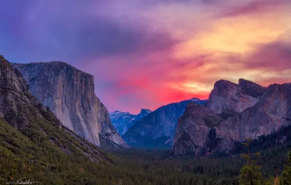 Forest, mountains, rocks, dawn, valley, USA, Yosemite national Park, Yosemite National Park