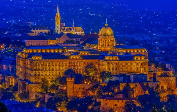 Picture castle, fortress, night city, Hungary, Hungary, Budapest, Budapest, Buda Castle