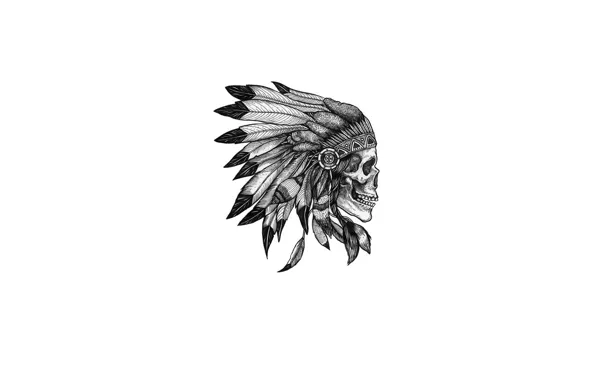 Picture style, skull, feathers