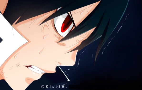 Anger, guy, Fairy Tail, Fairy tail, Serif