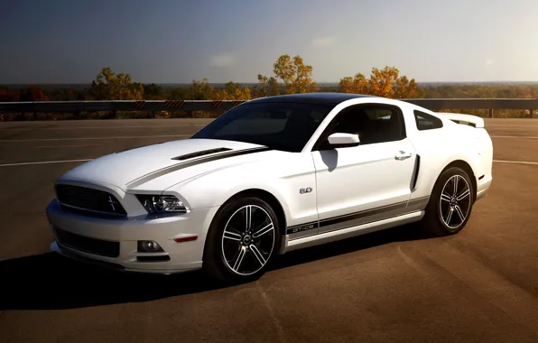 White, the sky, mustang, Mustang, ford, muscle car, Ford, 5.0