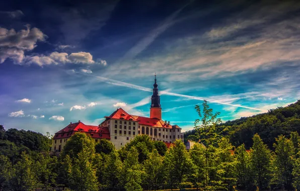 Greens, forest, the sky, the sun, clouds, trees, castle, Germany