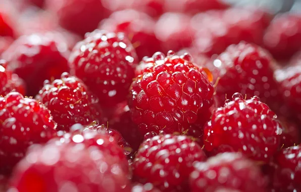 Picture drops, macro, berries, raspberry, a lot, AI art, neural network