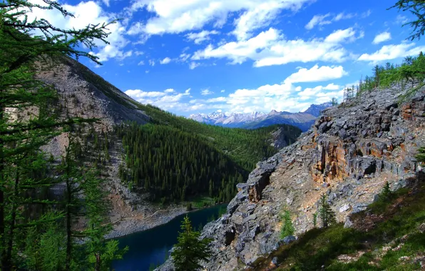 Forest, the sky, clouds, trees, landscape, mountains, lake