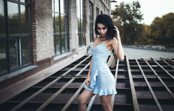 Sky, trees, model, women, brunette, makeup, blue dress, women outdoors