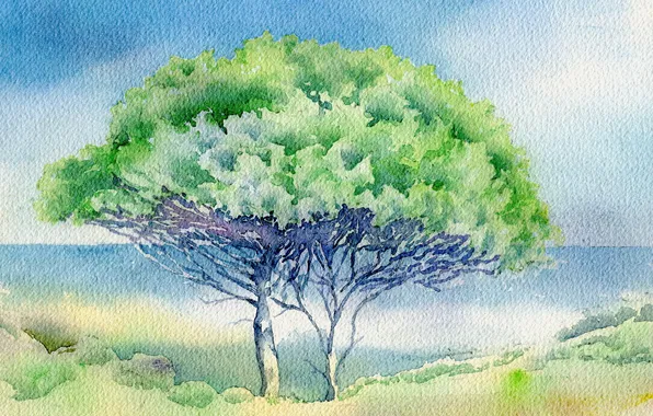 Picture landscape, tree, picture, watercolor