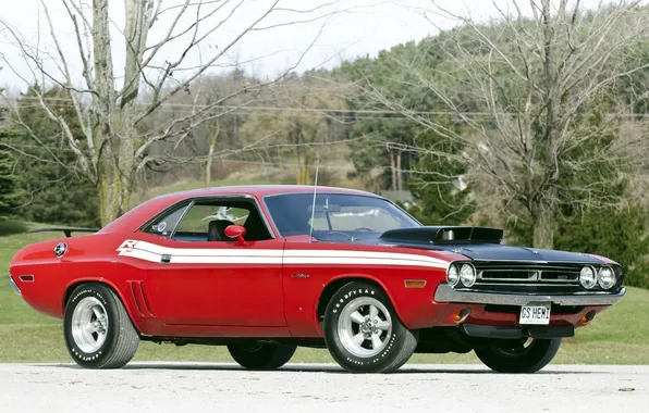 Picture tuning, 1971, Dodge, Challenger, muscle car, Dodge, classic, tuning