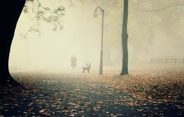 Landscape, fog, Park, bench