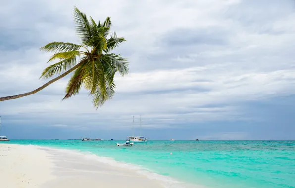Sand, sea, wave, beach, summer, the sky, palm trees, shore