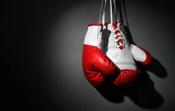 Boxing, boxing, martial art, Boxing gloves, hang, wallpaper., gray background, beautiful background