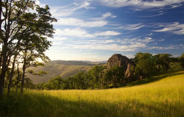 Picture light, trees, mountains, hills