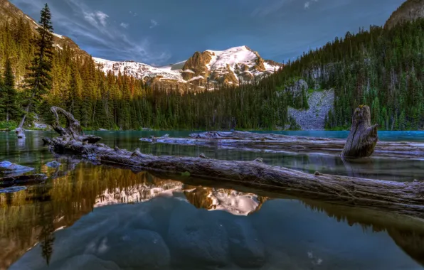 Trees, mountains, lake, reflection, Canada