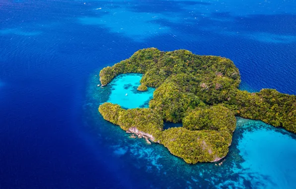 Sea, water, the sun, trees, tropics, blue, stones, the ocean