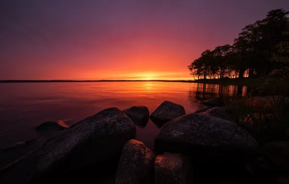 Trees, lake, sunrise, stones, morning, Sweden