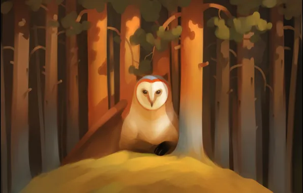 Forest, look, trees, owl, bird, wing