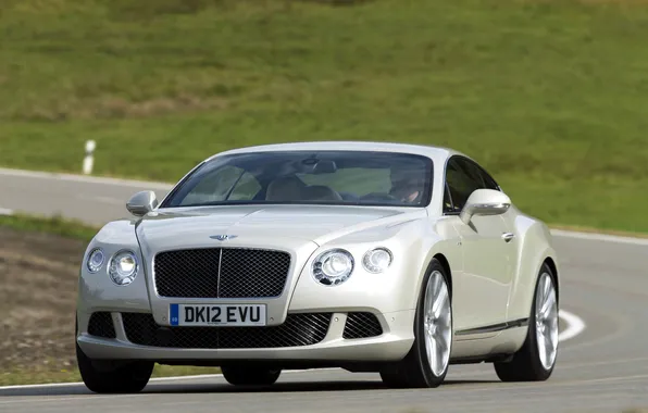 Auto, Bentley, Continental, Machine, The hood, Day, Lights, the front
