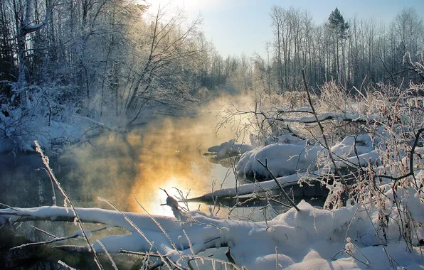 Winter, trees, sunset, fog, river