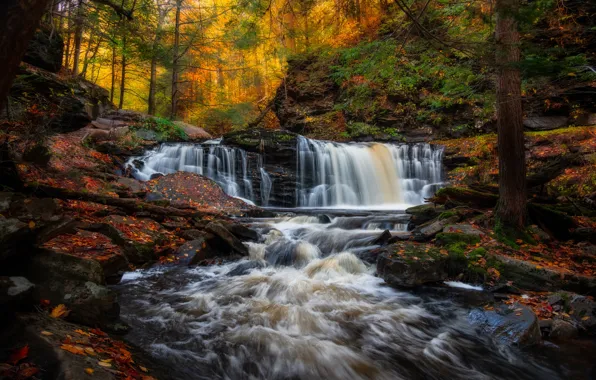 Picture autumn, forest, river, waterfalls, PA, cascade, Pennsylvania, Ricketts Glen State Park