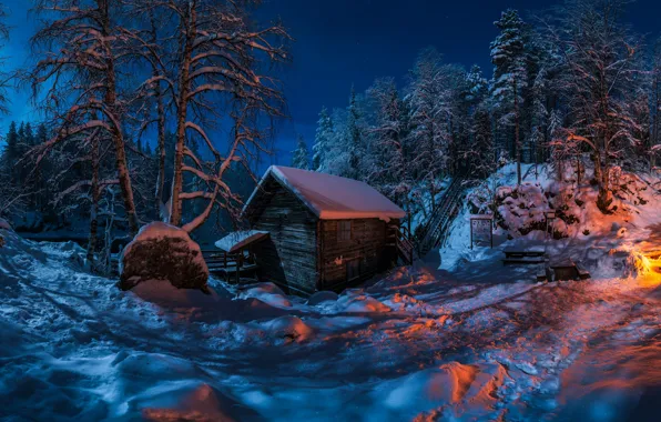 Picture winter, forest, snow, trees, night, hut, hut, the fire