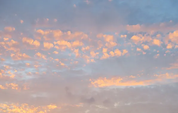 Picture the sky, clouds, landscape, nature