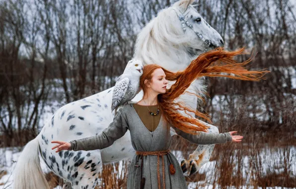 Picture winter, girl, pose, horse, bird, horse, hands, red