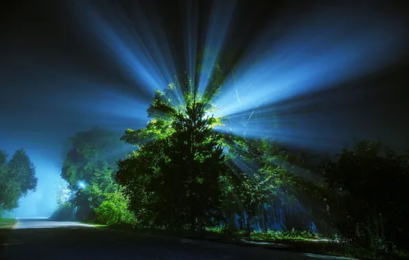 Road, rays, light, night, tree, lantern